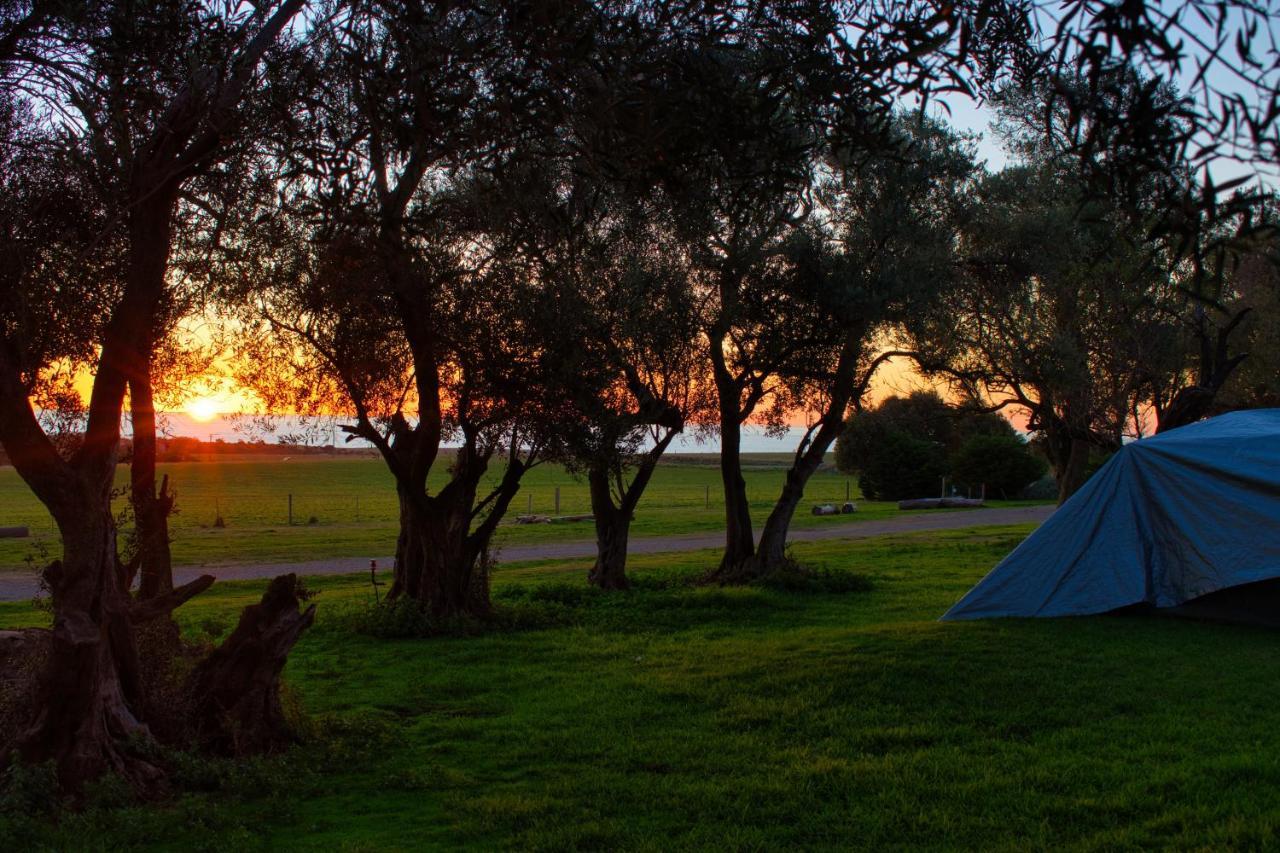 Big4 Cape Jervis Accommodation & Caravan Park Екстериор снимка